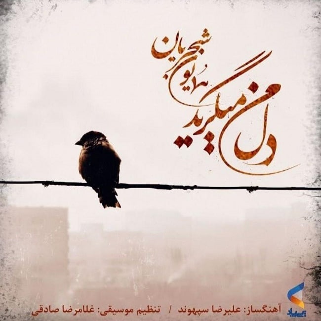 دانلود آهنگ دل من میگرید